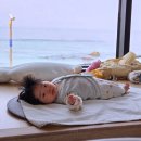 [국내여행]4개월 아기와 첫 3인 가족여행, 동해 어달을담다펜션 솔직후기