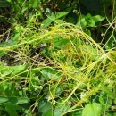 산내들농장 이미지