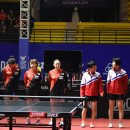 Re:[대회소식]2019 ITTF-ATTU Asian Table Tennis Championships - 3일차 이미지