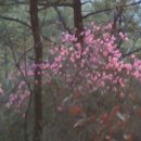 좌동초등학교병설유치원 이미지