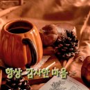 100세의료기 이미지