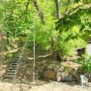 장원능이백숙 이미지