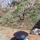 둥구나무민박 이미지