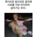 비앤비커피 - 서구 가정로 384 | 비앤비커피