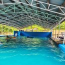 양평숲 비룡캠프장 이미지