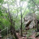 육단리(상)