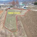 무정초등학교 앞 이미지