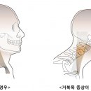 수원시원한의원 이미지