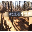 가람인삼 이미지