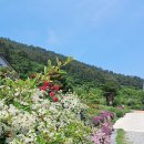 청산도올레펜션 이미지