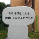 [박동희의 야구탐사] 시골학교 야구부의 기적과 비극 이미지