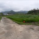 조양리마을회관 이미지