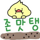 꼬꼬아찌숯불치킨 아주대점 네이버블로그