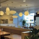 소나무집인카페보그너 | 아이와 안성 나들이 코스 / 베이비 코너가 있는 봄이보리밥 + 실내 놀이방 소나무카페 내돈내산 솔직후기 ]