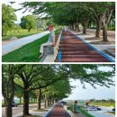 남대천L 이미지