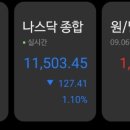 나라메드 이미지