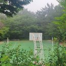 동해체육공원 이미지