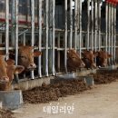 상승농장1 이미지