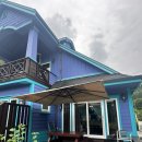 앤드퍼피 | 경기도 양평 계곡과 수영장이 있는 애견펜션 앤드퍼피