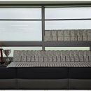 참교육태권도 이미지