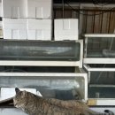 고속기사식당 | [속초당일치기] 속초여행 코스 추천 feat) 속초 택시기사님 맛집 지도 공유