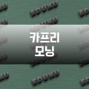 시민세이프티 | 서울판 카프리 모닝(Car-Free Morning), 2026년 도입 배경과 기대 효과