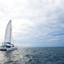 세화중학교 이미지