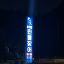 순천만 민물장어 이미지