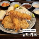 유미카츠부산 이미지