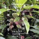 산복사나무(개봉숭아) 야생화를 찾아서(151) 대전시 중구 원안영 이미지