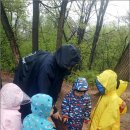 숲의 마음 이미지