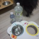 애수농장 이미지