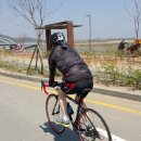 더기도기
