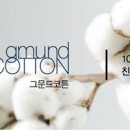 더페이퍼 이미지