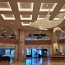 꿈에본꽃돼지 이미지