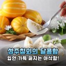 입안 가득 퍼지는 달콤함! 올여름 필수 과일 허니유통 성주참외 후기