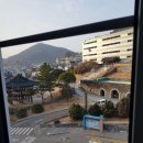 테디베어스 이미지