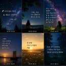 별숲미디어