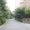 신월동105 이미지