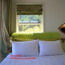 캣츠펜션 이미지