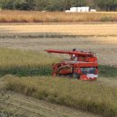 농협양곡(주) 안동라이스센터 이미지