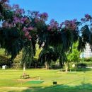 내서읍712 이미지