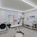 비키펫 살롱 이미지