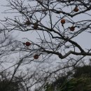 무릉2리(인향동) 이미지