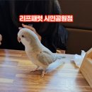 리프패럿시민공원점 이미지