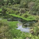 상기농장 | [뉴질랜드 여행 DAY 4] 북섬 여행기 및 영화 '얼굴' 후기