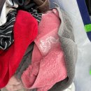 정하세탁 이미지