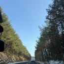 신례교차로 3 이미지