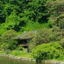 풍산태사로(서) 이미지