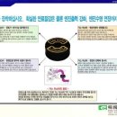 마스타카센타 네이버블로그